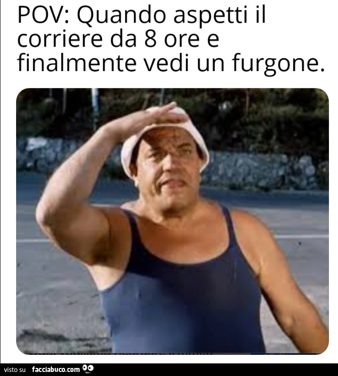 Vaccata