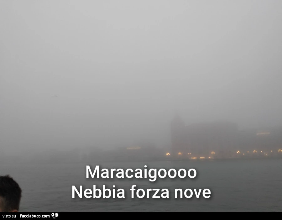 Venezia