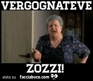 Vergognatevi zozzi