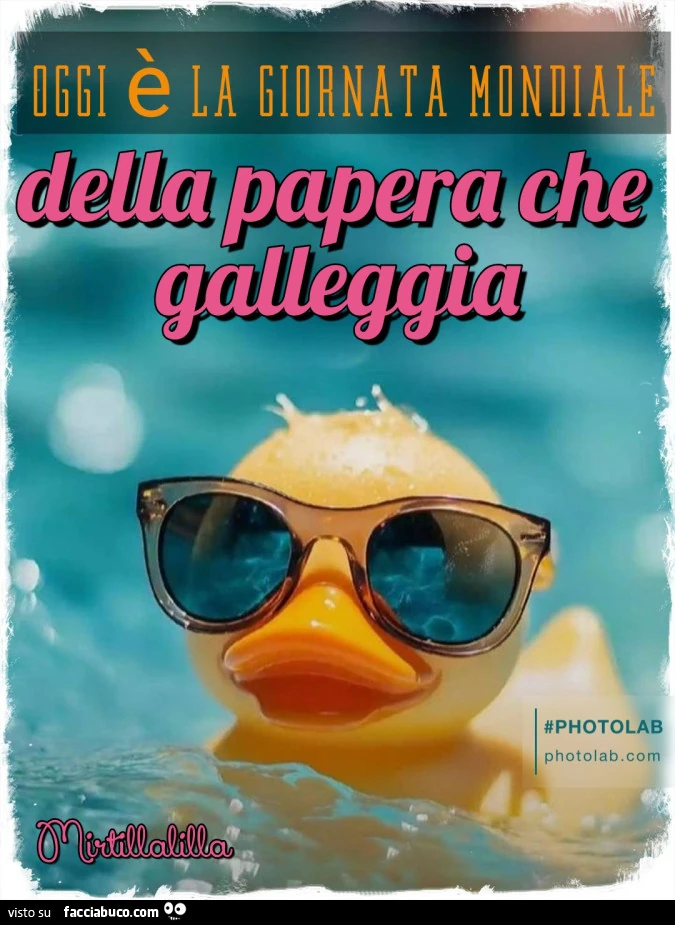 La papera che galleggia