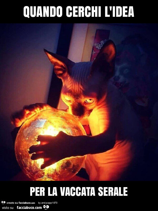 Quando cerchi l'idea per la vaccata serale
