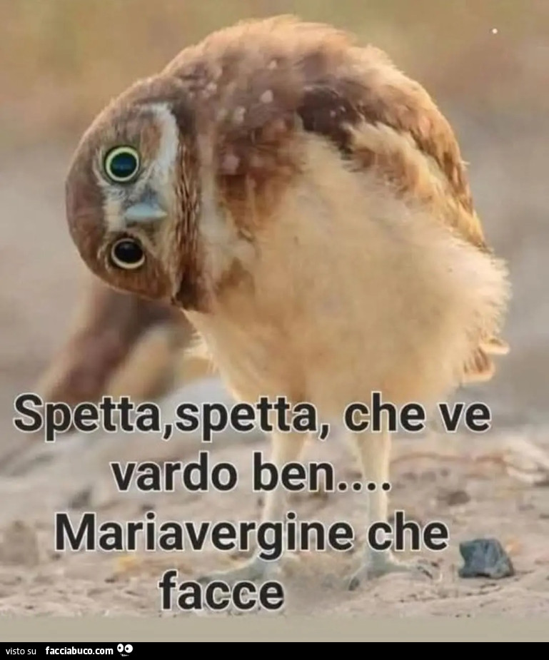 Spetta spetta che ve vardo ben mariavergine che facce