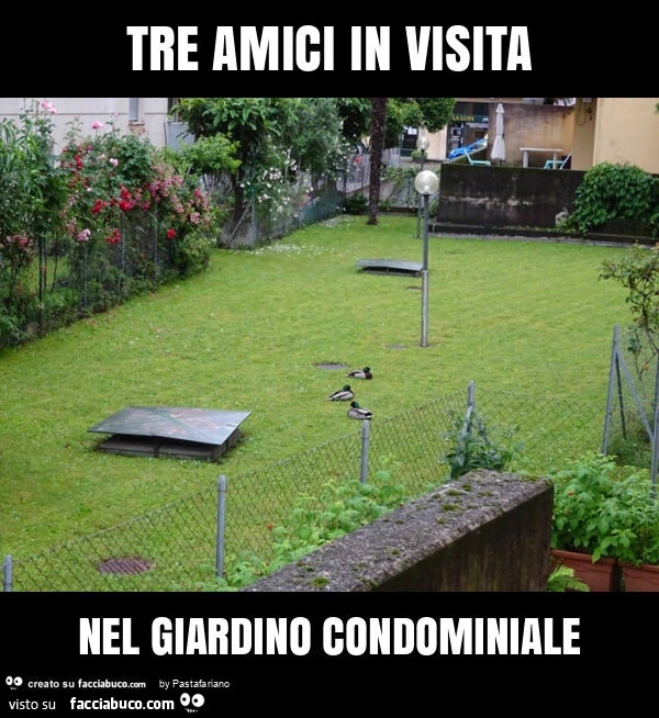 Tre amici in visita nel giardino condominiale