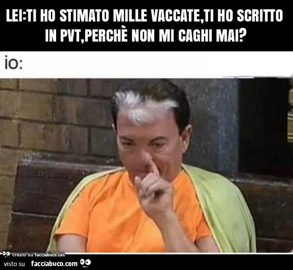 Lei: ti ho stimato mille vaccate, ti ho scritto in pvt, perchรจ non mi caghi mai?