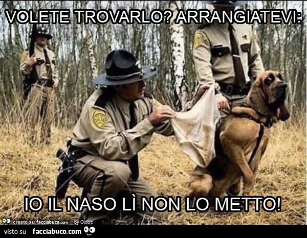 Volete trovarlo? Arrangiatevi: io il naso lì non lo metto