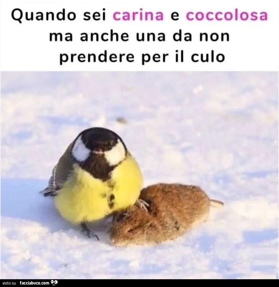 Quando sei carina e coccolosa ma anche una da non prendere per il culo
