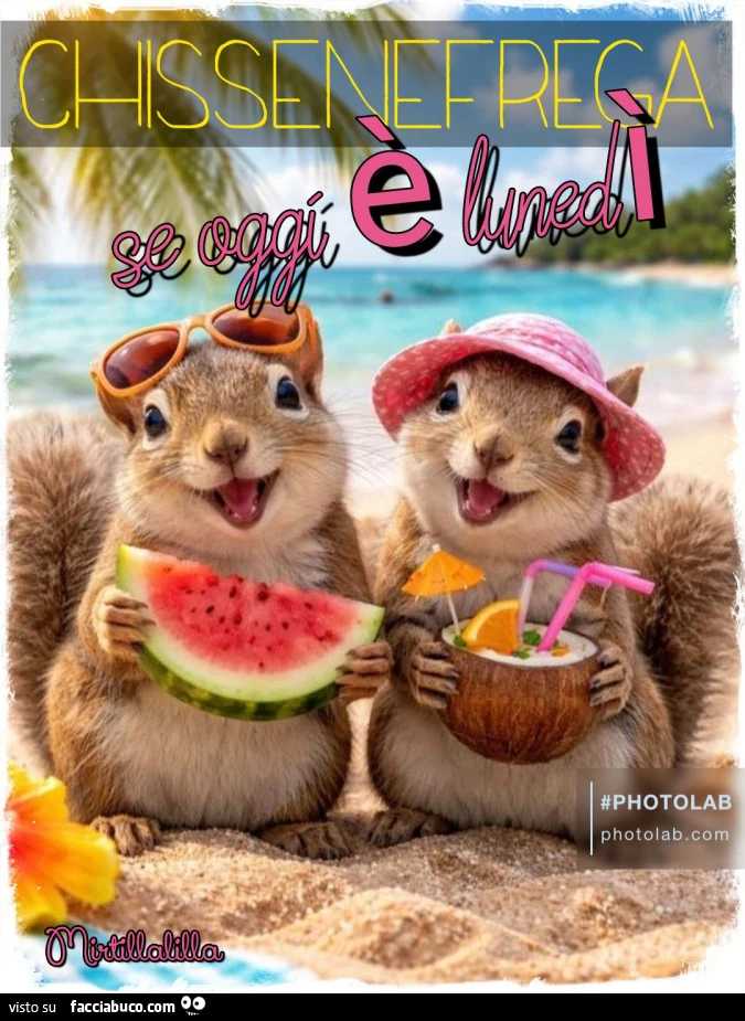 Chissenefrega