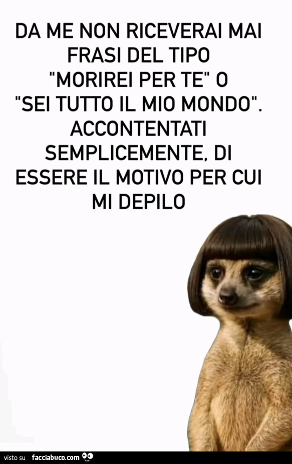 Vaccata