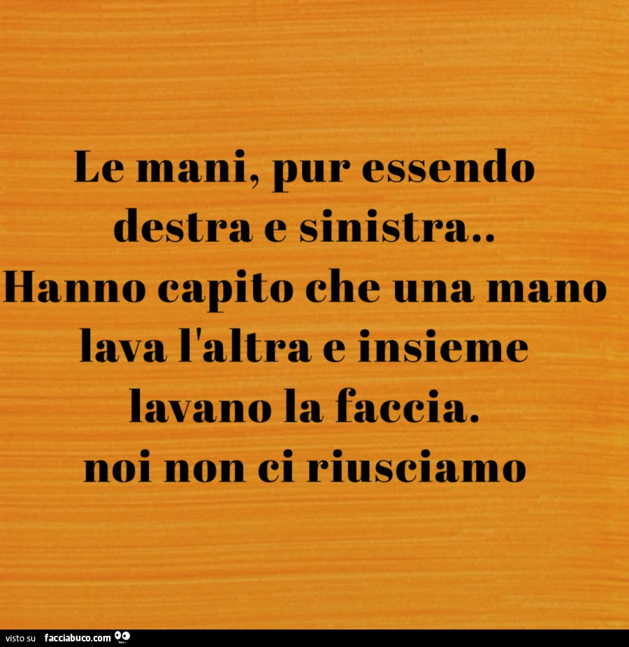 Le mani, pur essendo destra e sinistra. Hanno capito che una mano lava l'altra e insieme lavano la faccia. Noi non ci riusciamo