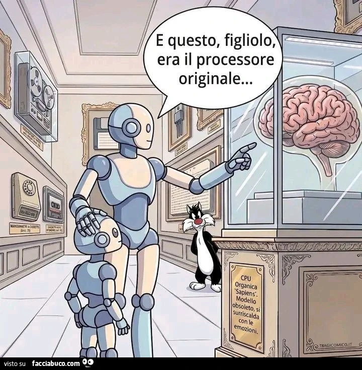 Vaccata
