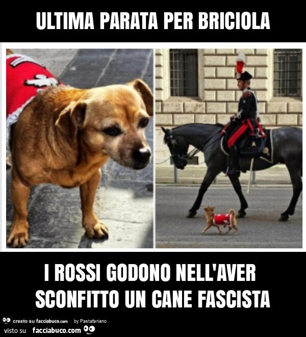 Ultima parata per briciola i rossi godono nell'aver sconfitto un cane fascista