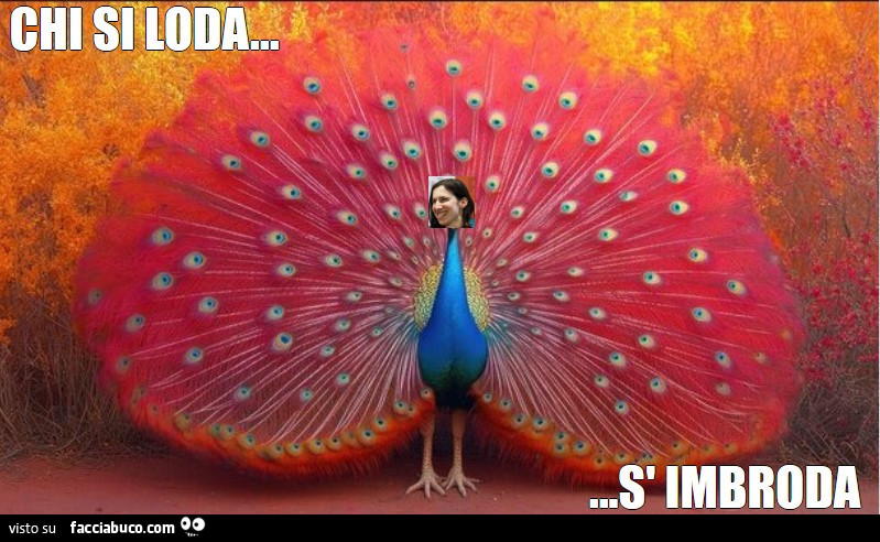 Chi si loda, s'imbroda