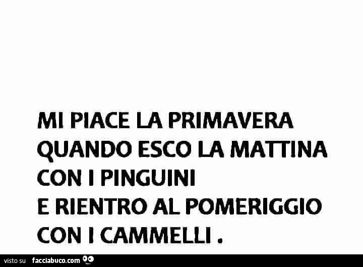 Mi piace la primavera quando esco la mattina con i pinguini e rientro al pomeriggio con i cammelli