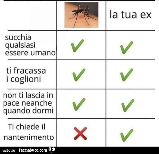 Zanzara vs La tua Ex