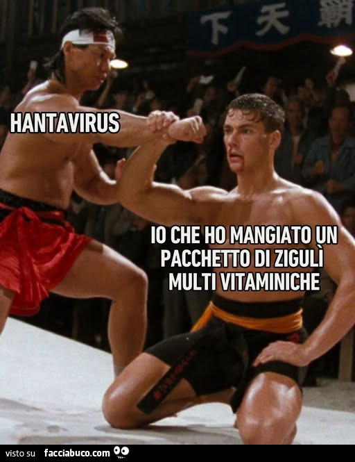 Vaccata