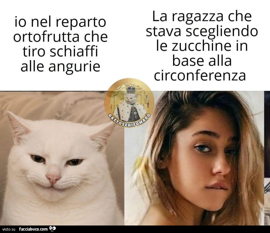 Vaccata