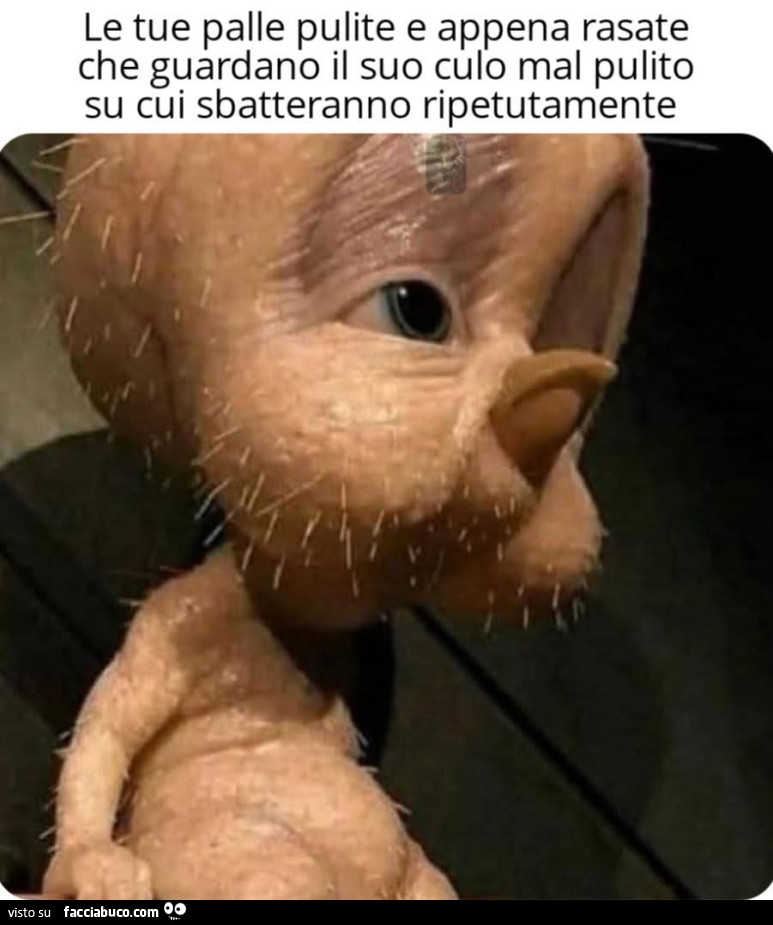Vaccata