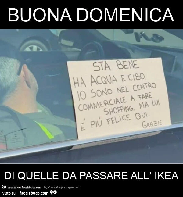 Buona domenica di quelle da passare all' ikea