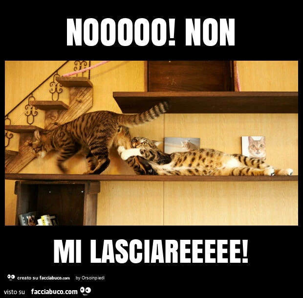 Nooooo! Non mi lasciareeeee