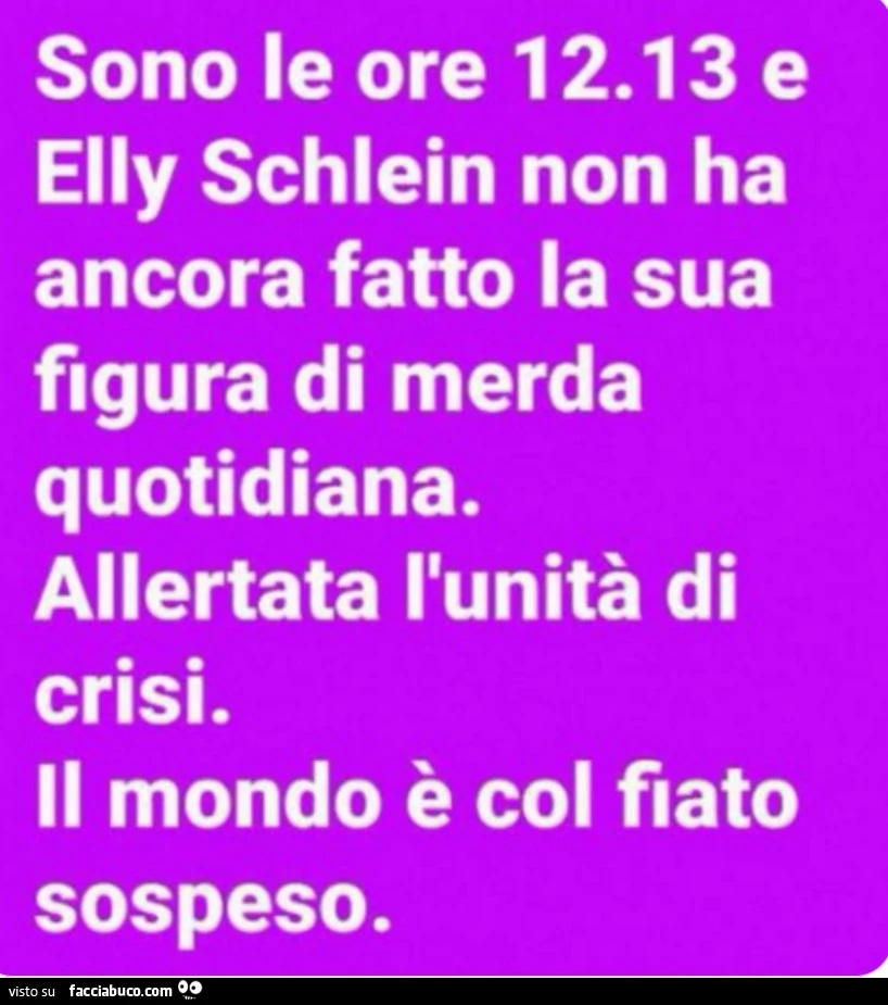 Schlein