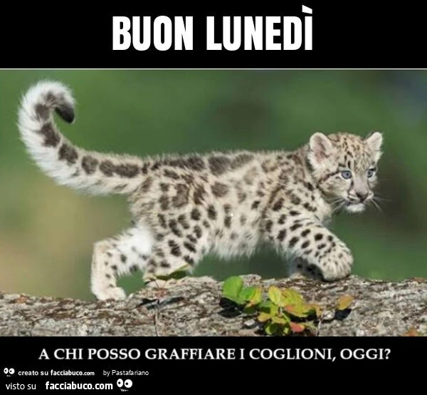 Buon lunedì