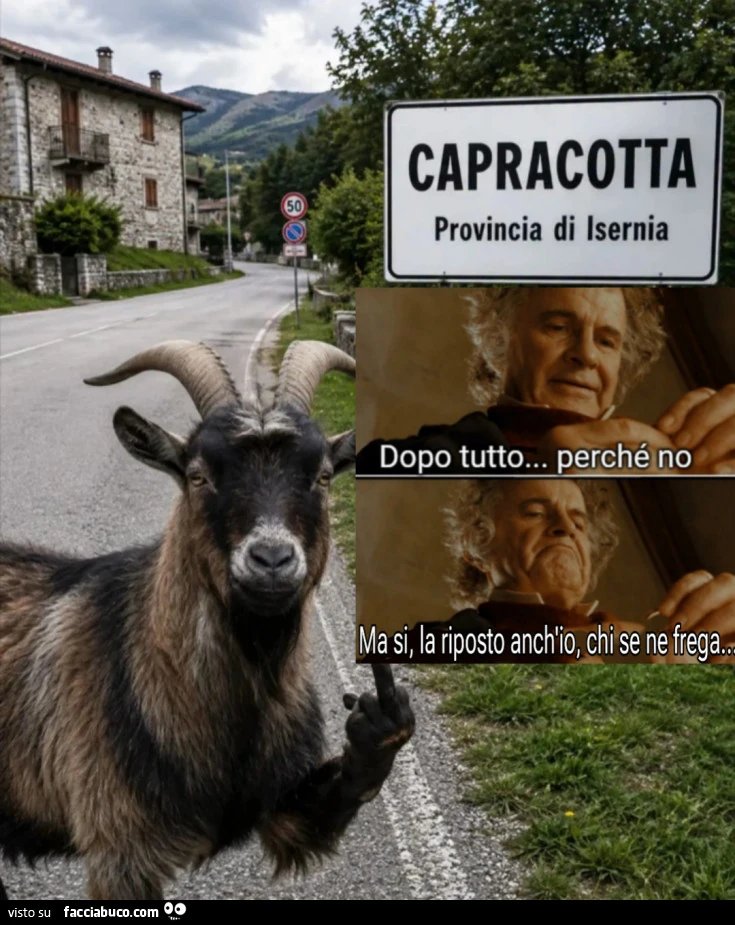 Vaccata