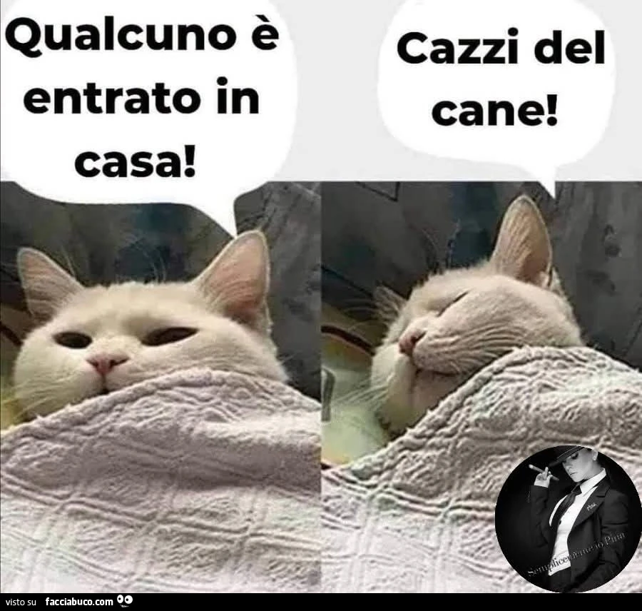 Vaccata