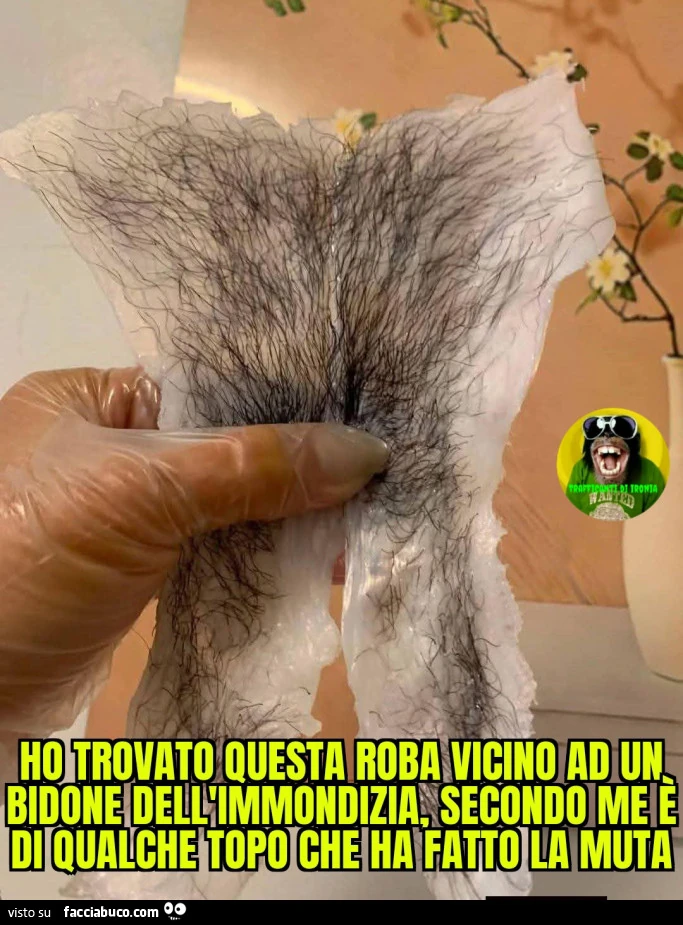 Ho trovato questa roba vicino ad un bidone dell'immondizia