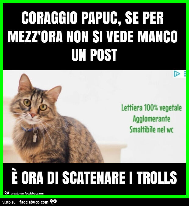 Coraggio papuc, se per mezz'ora non si vede manco un post È ora di scatenare i trolls