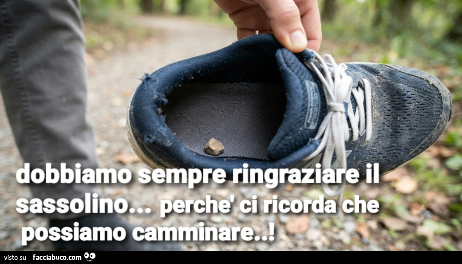 Sassolino