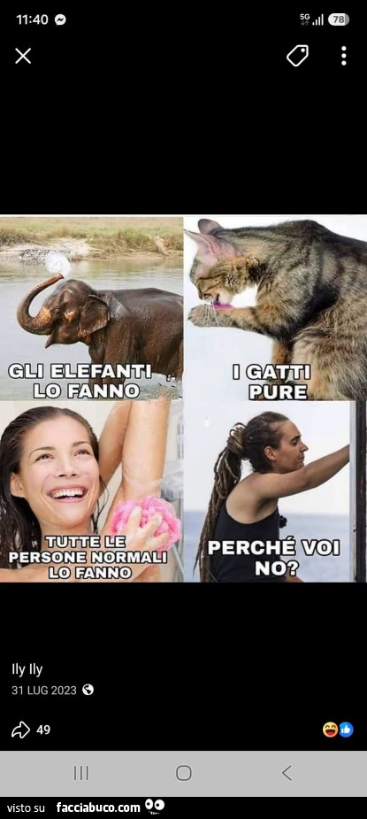 Vaccata