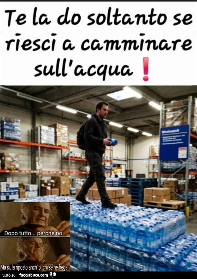 Vaccata
