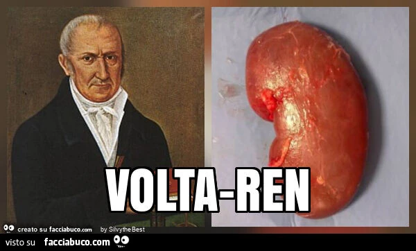 Volta-ren