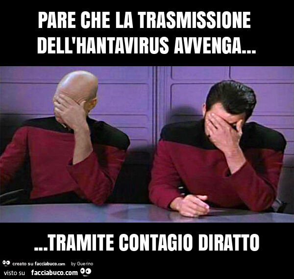 Pare che la trasmissione dell'hantavirus avvenga&hellip; tramite contagio diratto