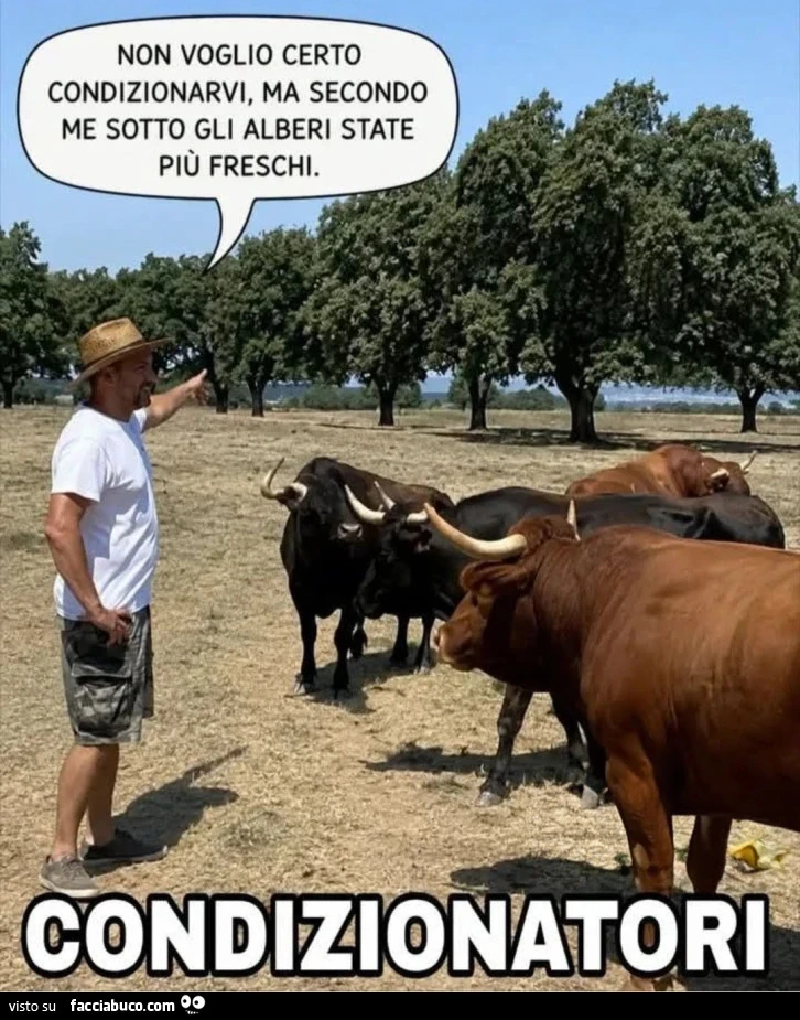 Cazzate