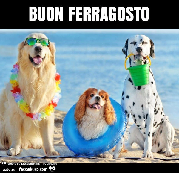 Buon ferragosto