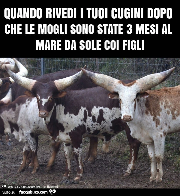 Quando rivedi i tuoi cugini dopo che le mogli sono state 3 mesi al mare da sole coi figli