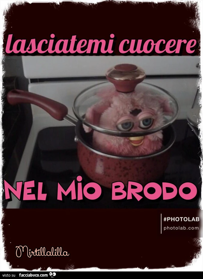 Nel mio brodo