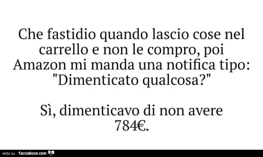 Che fastidio quando lascio cose nel carrello e non le compro, poi amazon mi manda una notifica tipo: dimenticato qualcosa? Sì, dimenticavo di non avere 784€