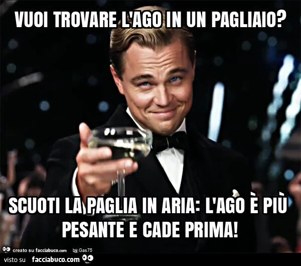 Vuoi trovare l'ago in un pagliaio? Scuoti la paglia in aria: l'ago è più pesante e cade prima