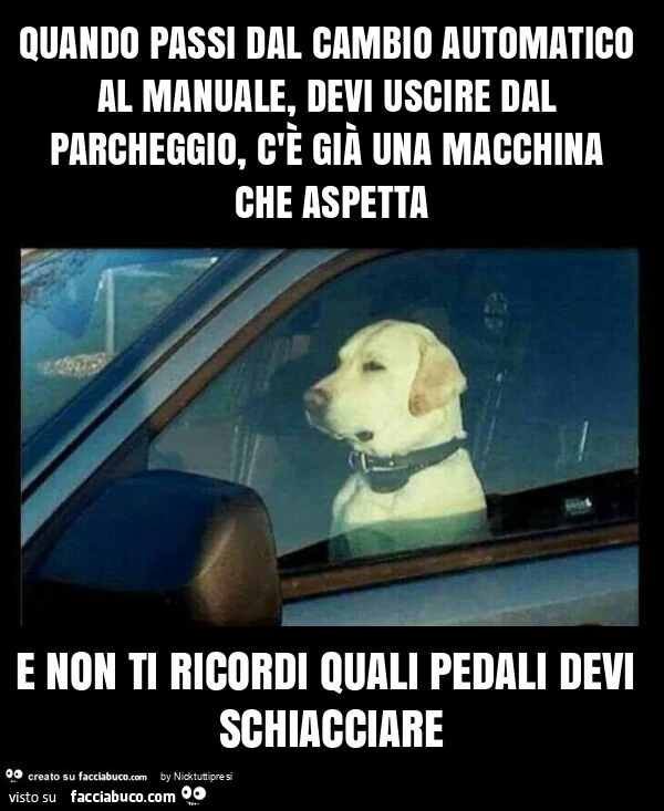 Quando passi dal cambio automatico al manuale, devi uscire dal parcheggio, c'è già una macchina che aspetta e non ti ricordi quali pedali devi schiacciare