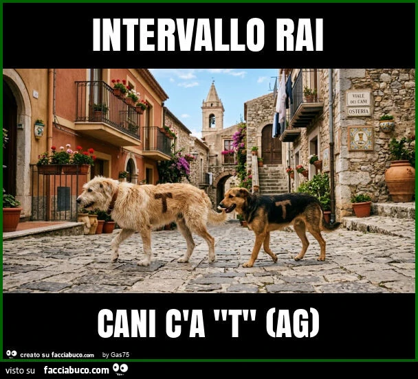 Intervallo rai cani c'a "t" (ag)