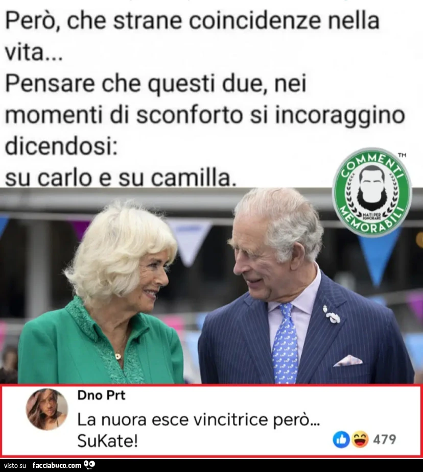 Però, che strane coincidenze nella vita&hellip; Pensare che questi due, nei momenti di sconforto si incoraggino dicendosi: su carlo esu camilla la nuora esce vincitrice però su kate