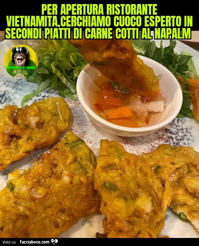 Per apertura ristorante vietnamita cerchiamo cuoco esperto in secondi piatti di carne cotti al napalm