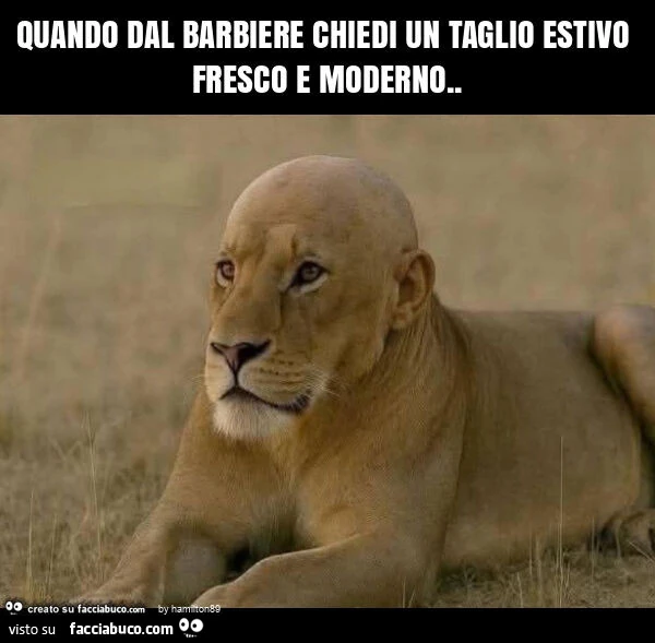 Quando dal barbiere chiedi un taglio estivo fresco e moderno