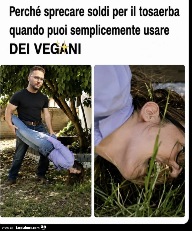 Vaccata