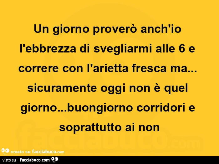 Un giorno proverò anch'io l'ebbrezza di svegliarmi alle 6 e correre con l'arietta fresca ma… sicuramente oggi non è quel giorno… buongiorno corridori e soprattutto ai non