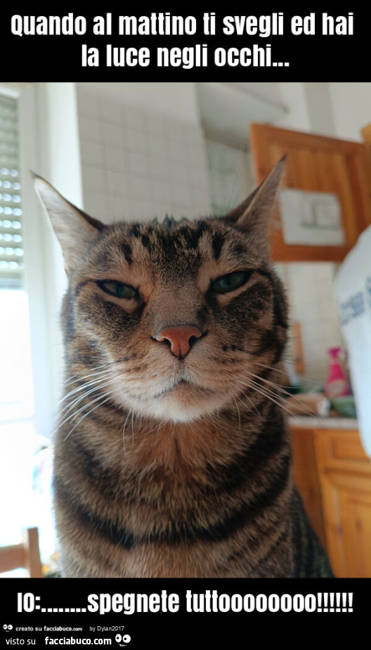 Quando al mattino ti svegli ed hai la luce negli occhi&hellip; io: &hellip; spegnete tuttoooooooo