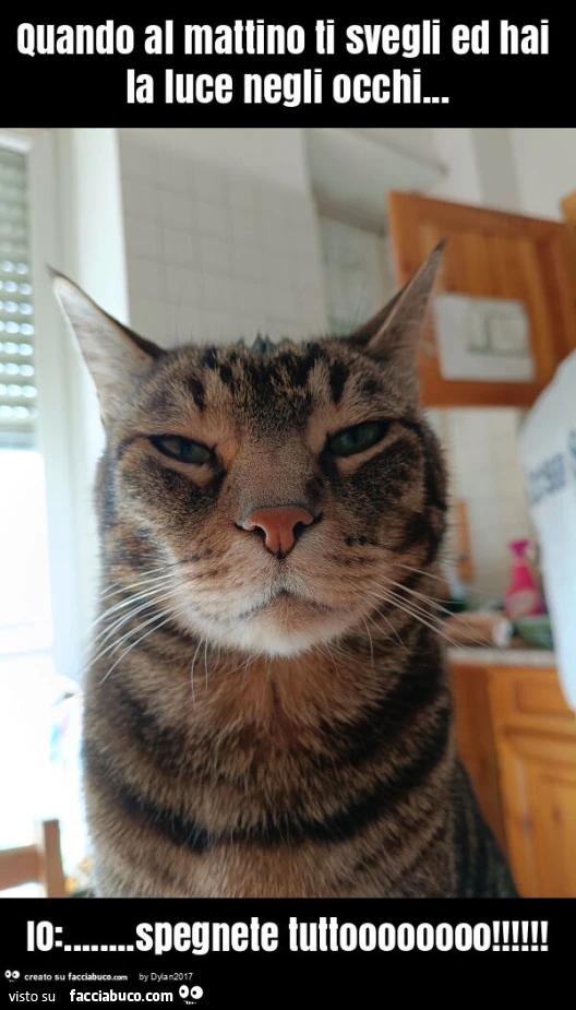 Quando al mattino ti svegli ed hai la luce negli occhi&hellip; io: &hellip; spegnete tuttoooooooo