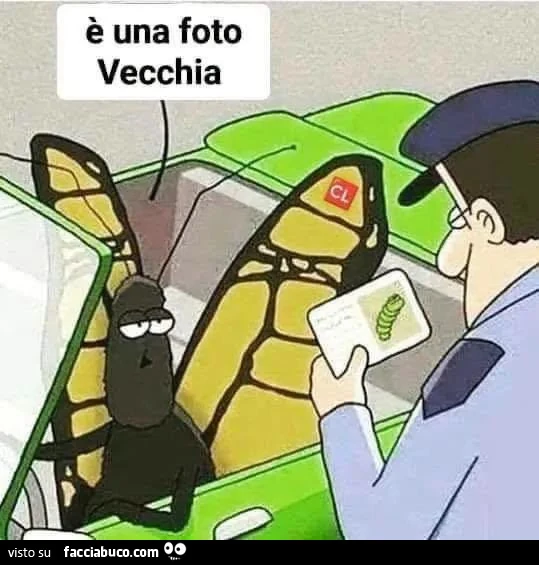 Vaccata